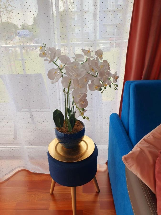 Apartament Comfort I Kołobrzeg Extérieur photo